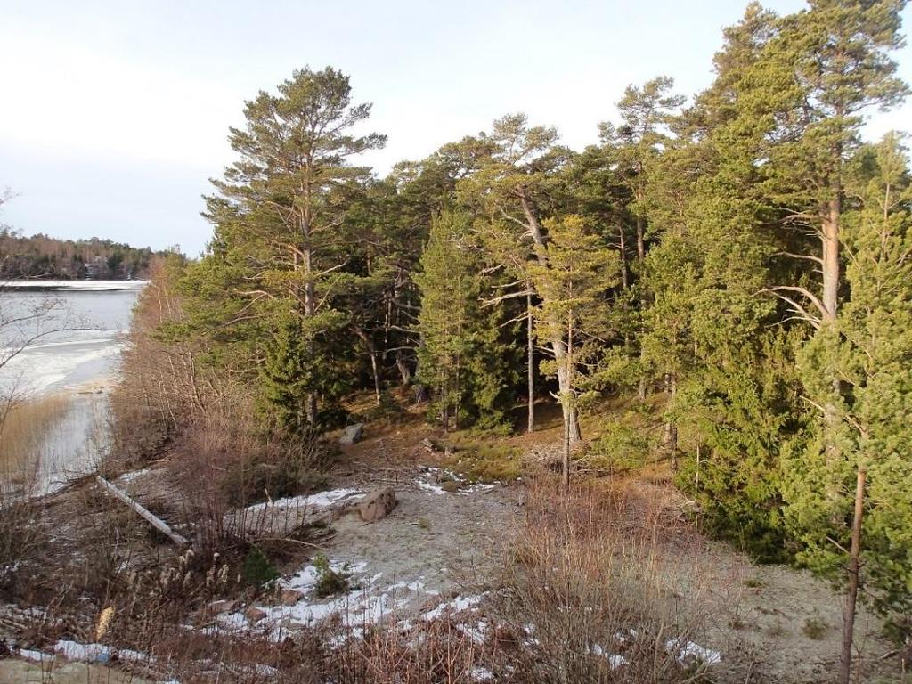 och provtagning med pil. Figur 3 Planerat brofäste på Vårdö.