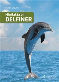 från Nypon förlag Jonasson, Måns Bygg ditt