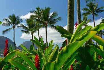 Den grönskande staden Hilo har flera välbevarade historiska byggnader och är ett vackert exempel på Hawaiis unika arkitektur.