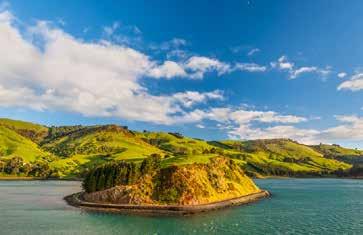 3 feb Dunedin, Nya Zeeland Idag lägger vi till i Dunedin, en historiskt viktig stad i Nya Zeeland, som erbjuder rikligt med historia och kultur vid sidan om en fascinerande natur och ett rikt djurliv.