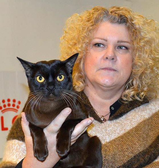 RC gav bort kattleksaker och ryggsäckar till besökarna. Två nya medlemmar värvades. Djurambulansen hade ett infobord. Det var ett gott samarbete med Strömpilen, Arken Zoo, Royal Canin och Supercat.