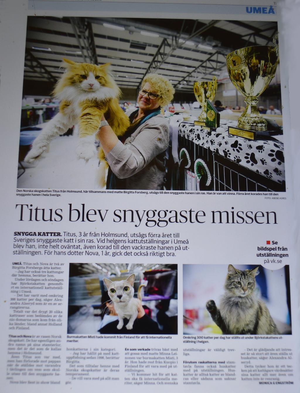 ÅRSBERÄTTELSE 2016 BJÖRKSTAKATTEN