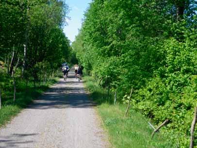 Ett hållbart Karlshamn Utvecklingen ger förutsättningar för: Närhet till natur