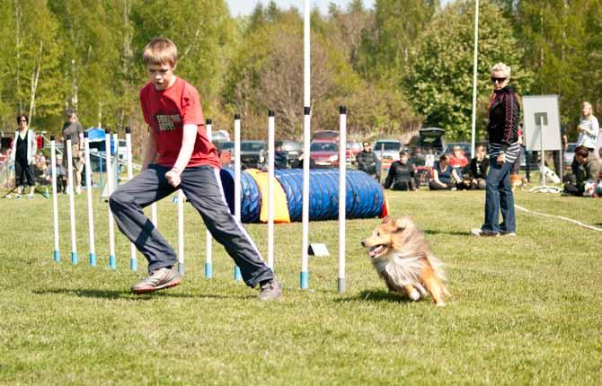 Torarp är 2030 Karlshamns hästsportcentrum, komplett med såväl travbana