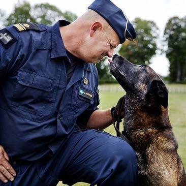 Skydd Glenn Andersson Jag är polis och arbetar just nu som övergripande utbildning/anskaffningsansvarig för både patrullhundar och sökhundar i Region Syd.