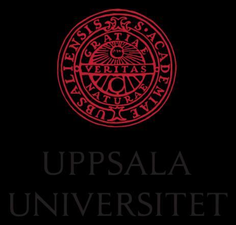 Rapport 2015vt01552 Institutionen för pedagogik, didaktik och utbildningsstudier Examensarbete i Pedagogik med inriktning mot vuxna och arbetsliv C, 15 HP Spelar personligheten någon