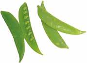 50 kr/kg 06040 5 kg/krt stringbeans 1 kg/pkt 29.