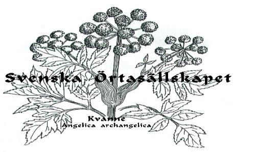 FRÖLISTA