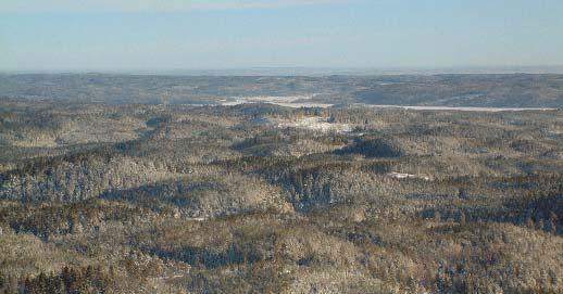 Bakgrund Tylöskogen 2006, Sv. Naturförvaltning AB På många områden i Sverige pågår en omfattande verksamhet för att bygga upp en fungerande och långsiktig älgförvaltning.