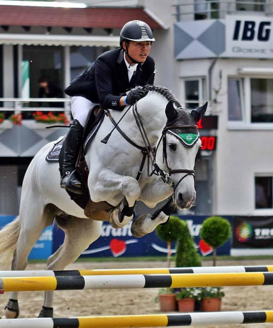 Cristallo II 1366 En unik ridbarhet och fulländad teknik kombinerad med blod i världsklass. Cristallo II vann premieringen i Münster-Hahndorf 2009.