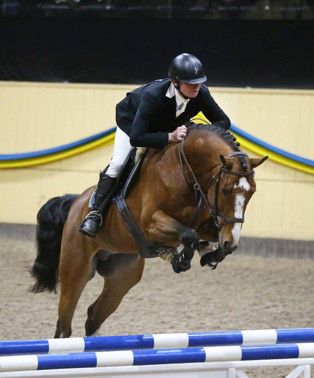 Point Break 1374 Point Break 1374 Point Break med atletiskt scope, en riktigt bra teknik och en fantastisk galopp. Här har vi en hopphäst med det lilla extra!