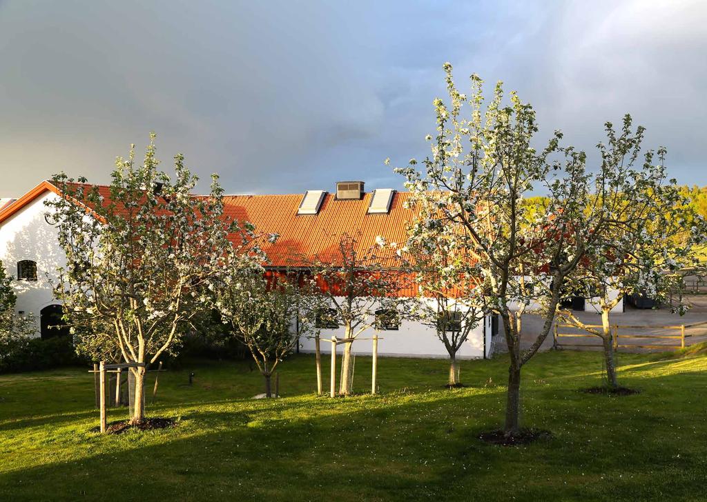 Det är vi som tar hand om dig och ditt sto på Lövsta Seminstation