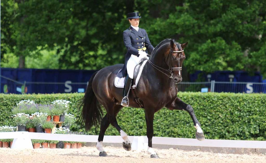 Foto: Malin Larsson OMSLAGSBILDER: Benetton Dream FRH 1301 har flertalet godkända söner och sonsöner.