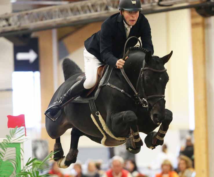 Van Vivaldi 1286 vann tillsammans med Caroline Darcourt sexårschampionatet under Breeders Trophy i oktober 2016.