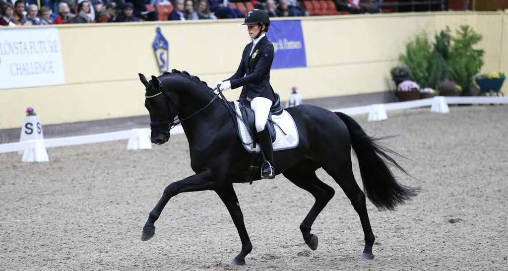 Karmel van de Watering 1332 och Jens Fredricson har under 2017 fortsatt att prestera på hög nivå, ekipaget har placeringar till och med internationell tvåstjärnig klass.