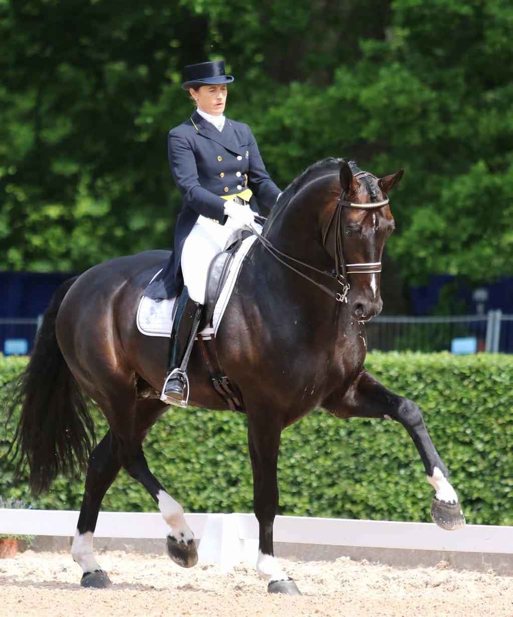 Han har tävlat framgångsrikt i internationell Grand Prix från 2014 med många fina placeringar. I fjol fick tävlingarna stå tillbaka för rehabilitering av en skada.