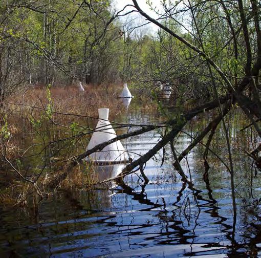 Det handlade om stora översvämningar och mängderna mygglarver var väldigt höga, på många ställen mer än 1 000 larver per liter.