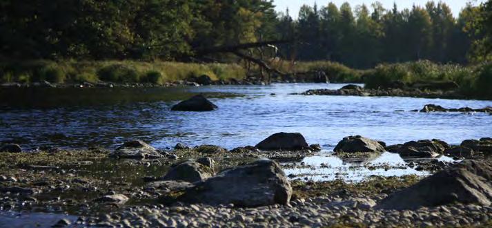 till sedvanlig informell årsavslutning