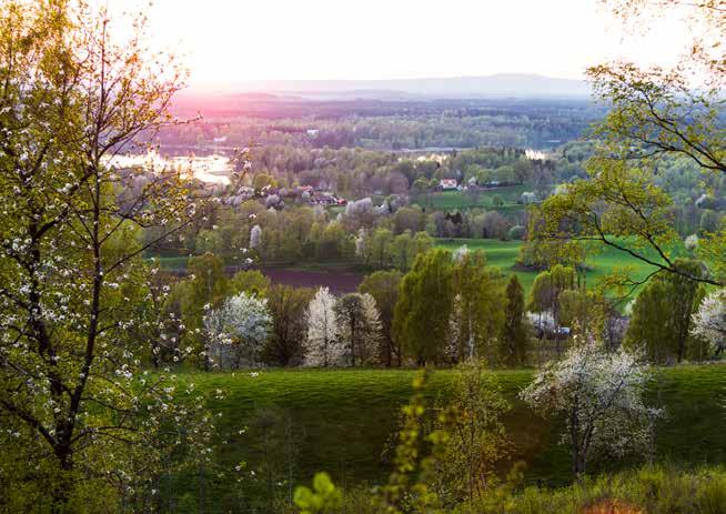Runt knuten väntar den sköna naturen; Vallebygden med sex olika naturreservat, Varnhems