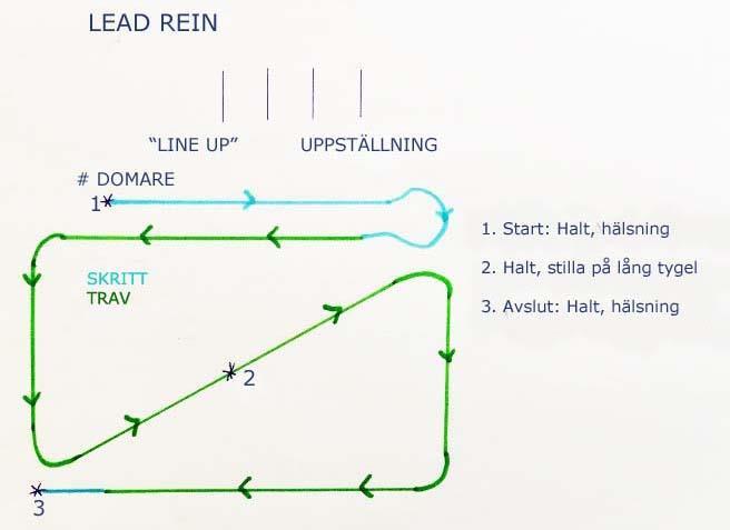 Klass 51 Open Öppen för ston och valacker mellan 128cm - 138cm. Ryttaren skall vara proportionerlig.