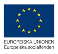 Mål 2: Transnationell benchmarking Att genom transnationell benchmarking ta hem nya verktyg och metoder för att stödja ungdomarnas etablering i samhället Etablerat kontakter från Storbritannien vid