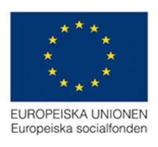 Mål 2: Transnationell benchmarking Att genom transnationell benchmarking ta hem nya verktyg och metoder för att stödja ungdomarnas etablering i samhället Etablerat kontakter från Storbritannien vid