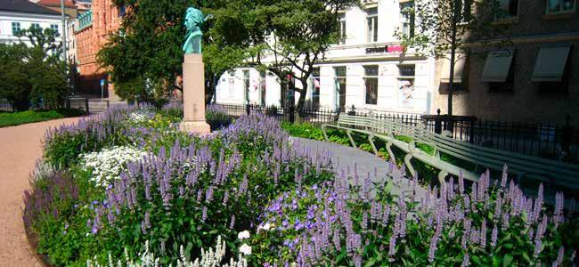 Upplåt mark för stadsnära odling En stadsnära odling innebär att staden upplåter mark till föreningar för odling. Odlade växter kan ha stor betydelse för insektslivet.