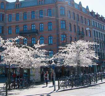 Vintertid går fladdermössen i dvala och behöver svala, frostfria platser med hög luftfuktighet som grottor och jordkällare. Alla fladdermusarter i Sverige är fridlysta.