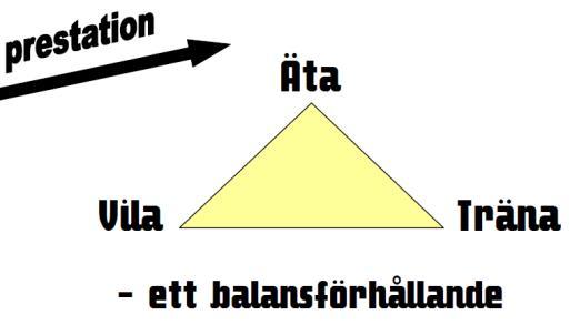 Kost - information från isledarna genom Anders Ledarna kan vara med och påverka en större del av 1/3 av detta genom att erbjuda rätt träning.