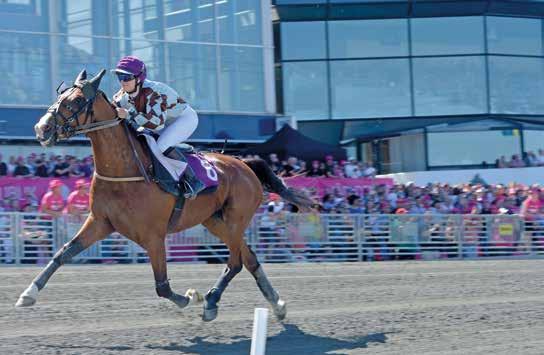 BERGSÅKER 6 DISTANS b START BANKOD 60 m 0:0 09 V V TRIO TVILLING VINNARE Armat -åriga och äldre.00-60.000 kr. 60 m. Autostart. PLATS Pris: 70.000-.000-7.00-9.00-6.00-(.000)-(.000) kr.