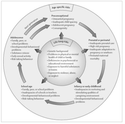 Life cycle approach to risk factors for mental disorder Kieling et al. Child an adolescent mental health worldwide: Evidence for action.