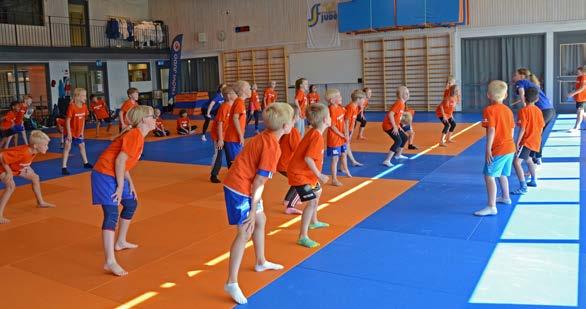 Sport och aktivitetsvecka i Lindesberg v.27 Läger 5, 2-6 juli.