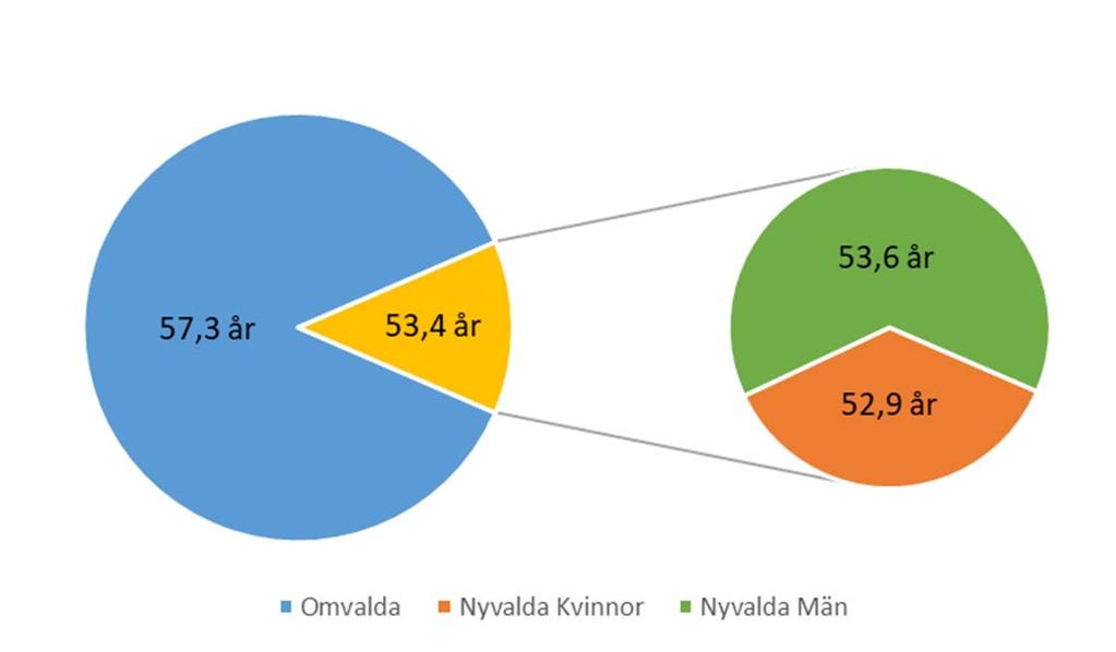 Andel nyvalda styrelseledamöter 2018 Totalt finns 2104 styrelseplatser i bolagen noterade på Stockholmsbörsen.