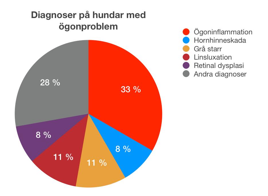 Andra diagnoser är sådana som gäller bara en hund. Det finns t ex en hund med glaukom, en med Y-sömskatarakt och en med Cherry eye.