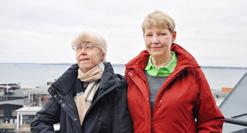 mindre skador i synfältet.