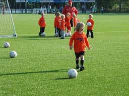 Konstgräs fotboll Med över 400 installationer och mer än 20 installationer på stora arenor är vi Nordens största leverantör av konstgräs.