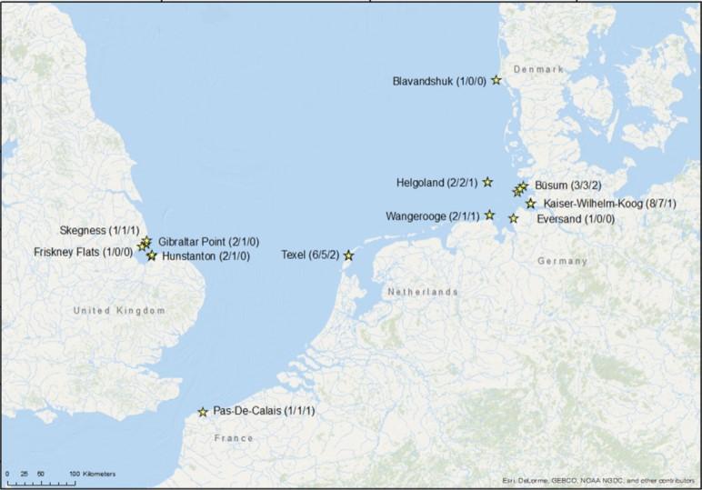 30 Kaskeloter strandar på kort tid 07 I januari och februari 2016 så strandar 30 kaskeloter på kusterna i Nordsjön, i Danmark, England, Tyskland,