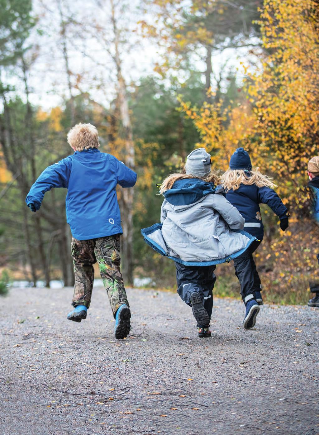NATURKLYFTAN 2018 EN RAPPORT OM EN