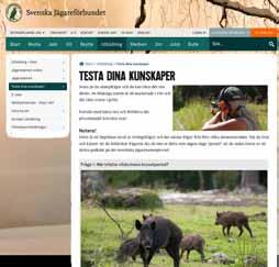 övergripande information Hemsidan Hemsidan är en av Svenska Jägareförbundets absolut viktigaste kanaler för att kommunicera och interagera med allmänhet och jägare.