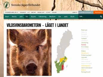 Informationsarbete rörande vildsvinsförvaltning Arbetet med förvaltningsfrågor bedrivs anpassat till de förutsättningar som föreligger.