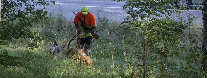 1.5 vilt och trafik Mål Minska lidandet för trafikskadat vilt genom att tillhandahålla kompetenta eftersöksekipage.