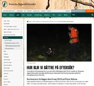 vilt och trafik det till flera lösningar på dessa lokala problem.