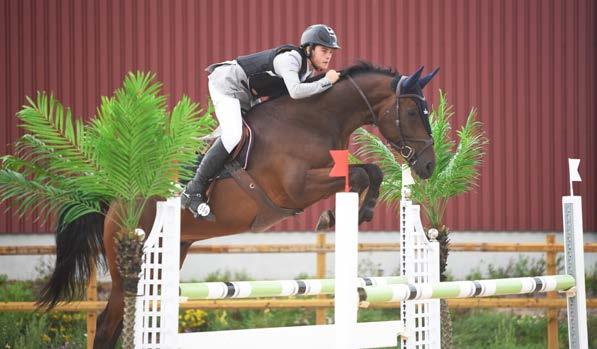 Joel Torstenson och Joker Ek (SWB) laddar inför Breeders Trophy Joel Torstenson Här har vi framtiden - ung ryttare på unga hästar Breeders Trophy är tävlingen där nya förmågor sätter sin plats på