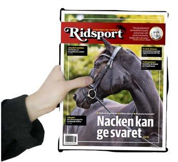 Tidning ANNONSDU