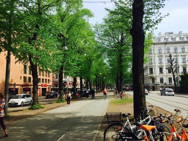 Figur 2 och 3: Träd i centrala delar av Göteborg, som bland annat bidrar till invånarnas välbefinnande genom att filtrera bort en del av stadens luftföroreningar. 3.1.