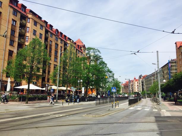 uppvärmning av bostäder eller förbränning av skräp. Luftföroreningar är ett stort problem för människors hälsa eftersom de bidrar till luftvägs-, hjärt- och kärlsjukdomar.