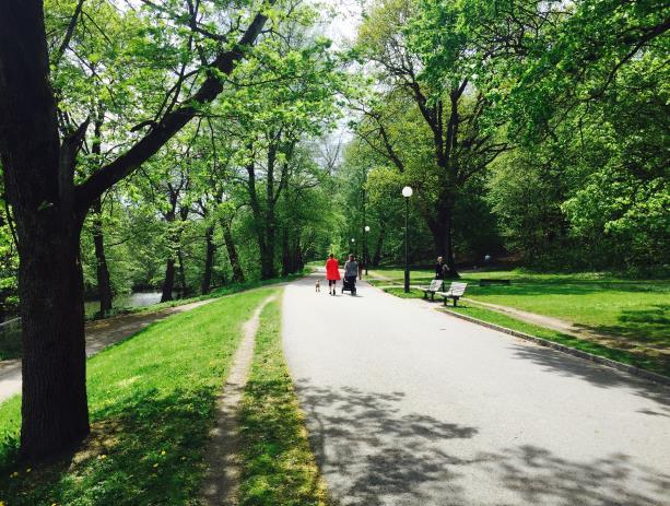 Figur 4 och 5: Natur och rekreationsområdet Slottskogen i Göteborg som bland annat bidrar till att invånarna får naturupplevelser och högre välbefinnande. 3.1.