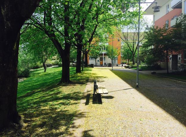 De ekosystemtjänster som däremot är synliga och lätta att utvärderas av stadens invånare, i det här fallet Göteborgs invånare, är de kulturella ekosystemtjänsterna.
