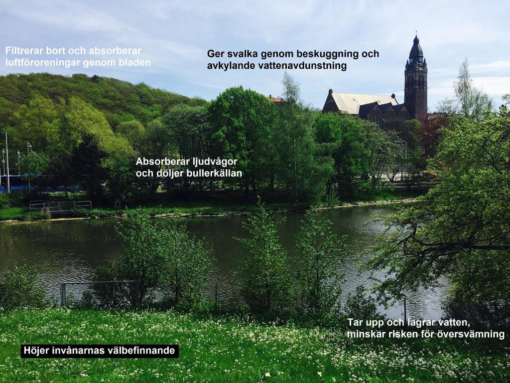 4. Diskussion 4.1 Ekosystemtjänster i staden - Vilka ekosystemtjänster har hög betydelse i stadsmiljö och vad förlorar vi på att inte ha kunskap om alternativt förbise ekosystemtjänsterna?