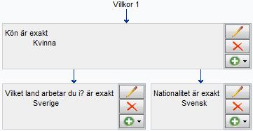 Du vill skapa ett filter som tillämpas för svenska kvinnor, och skapar därför ett villkor som består av de två frågorna Kön (är exakt kvinna) och Nationalitet (är exakt svensk).